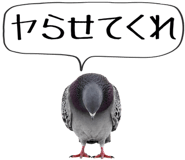 856605369