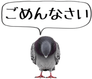 856605370