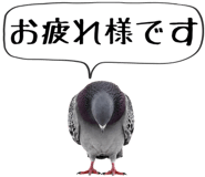 856605371