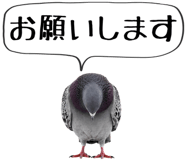 856605372
