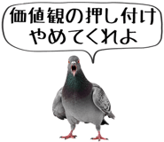 856605373