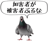 856605374