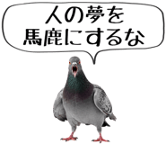 856605375