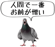 856605376