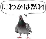 856605377