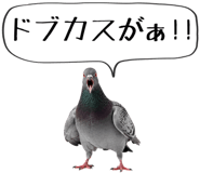 856605378