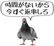 856605379
