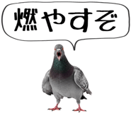 856605380