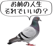 856605381