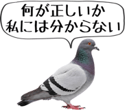 856605382