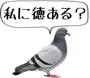 856605383