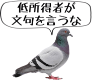 856605384