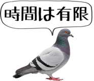 856605385