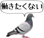856605386