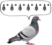 856605388