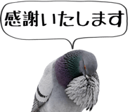 856605389