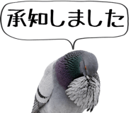 856605390