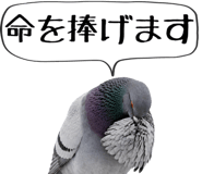 856605391