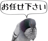 856605392
