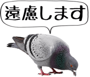 856605393
