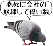 856605394