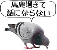 856605395