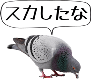 856605396