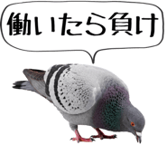 856605397