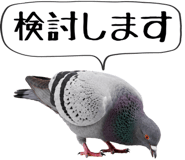 856605398
