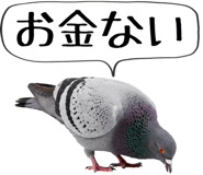 856605399
