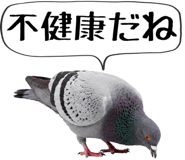856605400