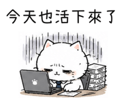 856606841