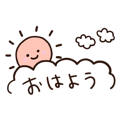 856607537