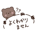 856607556
