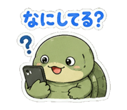856608706