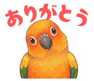 856608987