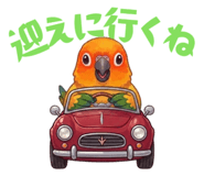 856609005