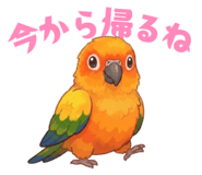 856609008