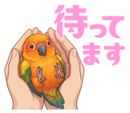 856609010