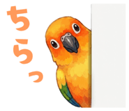 856609020