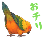 856609024