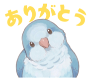 856609187