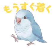 856609206