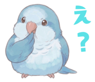 856609213