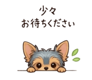 856611132