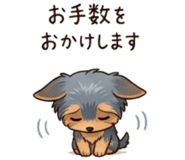 856611135