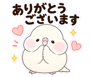 856611345