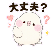 856611364