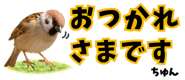 856611609