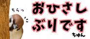 856611611